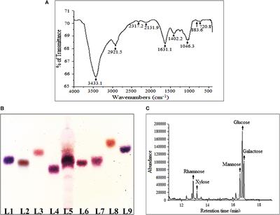 Water Soluble Antioxidative Crude Polysaccharide From Russula senecis Elicits TLR Modulated NF-κB Signaling Pathway and Pro-inflammatory Response in Murine Macrophages